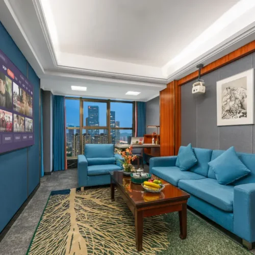 City-View Audio-Visual Suite With Eclan Sleep Aid Bedding, Deep Sleep Workshop, Negative Ion Sleep Aid